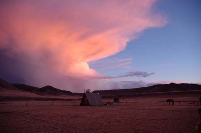 Evening Glory of Mongolia